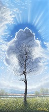 "La resilienza"